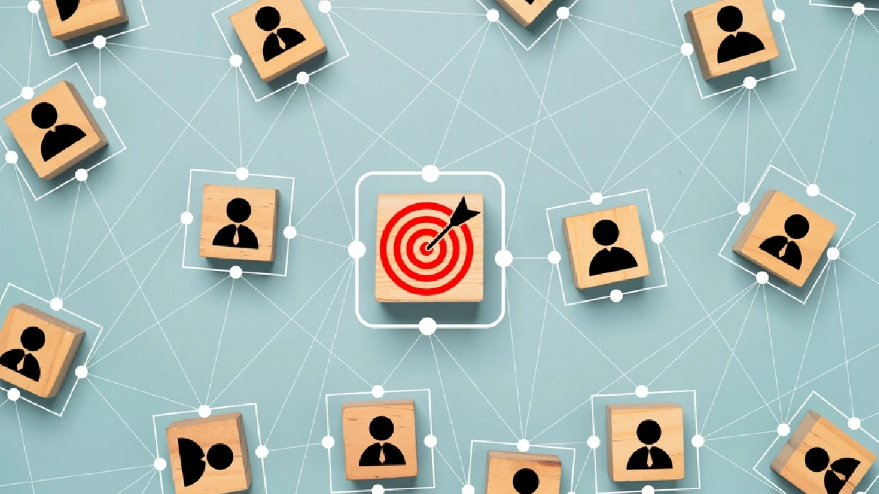 Expert Targeting & Segmentation
